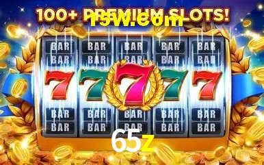  65z.com