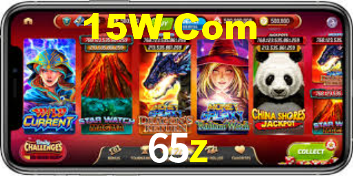 Premium Interface 65z