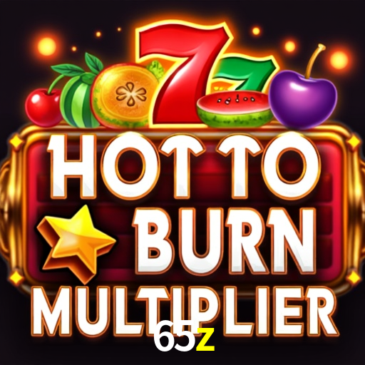 APP oficial da 65z para mobile